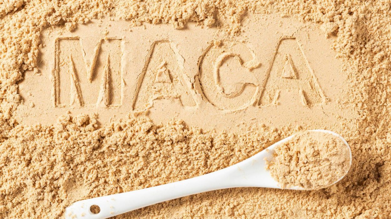 All about the Benefits of MACA!