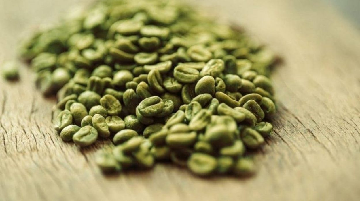 Is Green Coffee Bean Favourable in Weight Loss or Not?