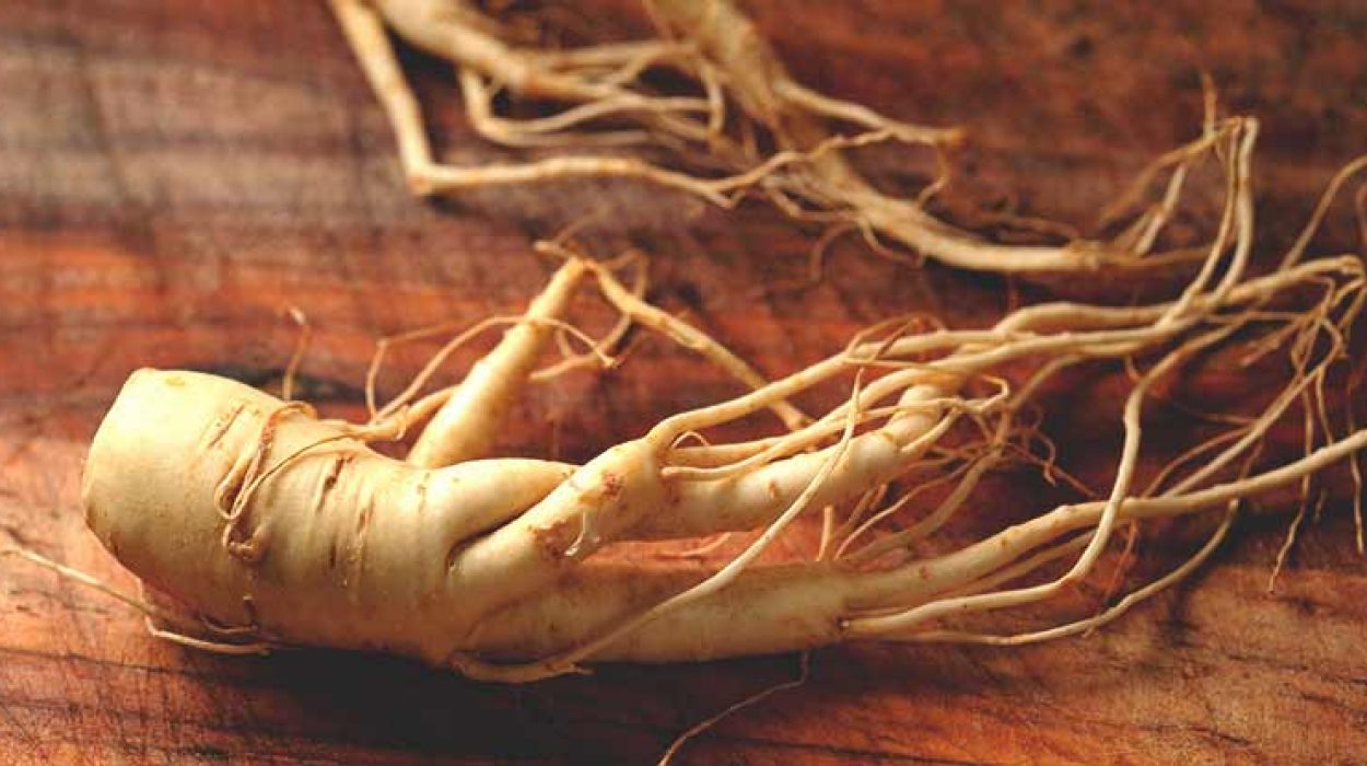 Let’s Talk About Ginseng!!