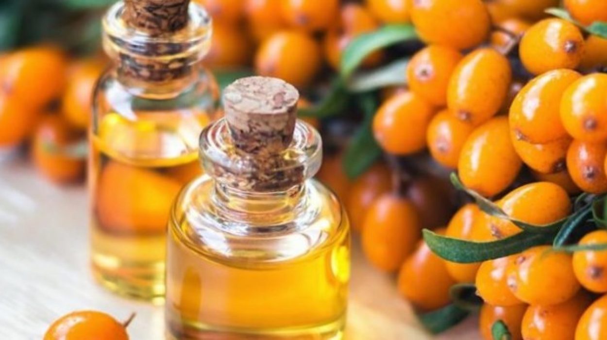 EXPLORE THE MIRACLES OF SEA BUCKTHORN OIL