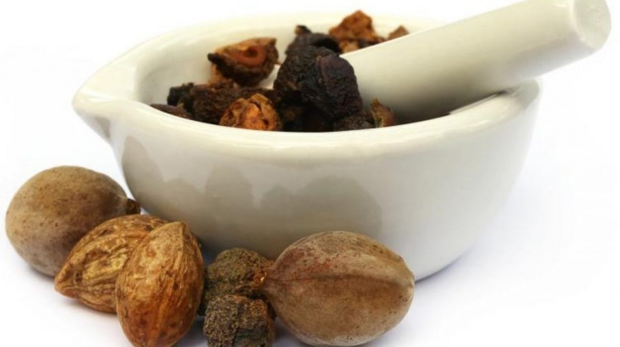 Digestive Issues?? Redirect to Triphala Therapy!!