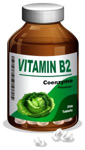 The health benefits of coenzyme