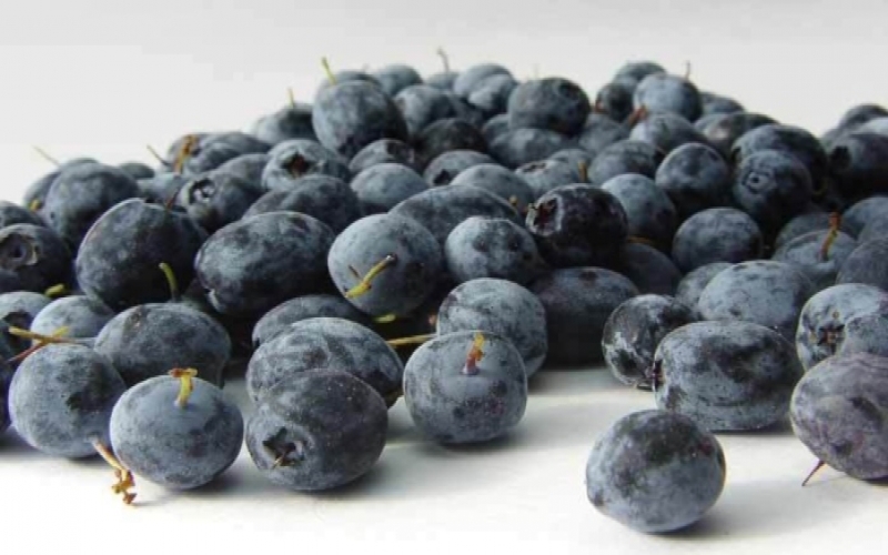 Antioxidant Acai Berry: Superfood formula with lots of health benefits!!