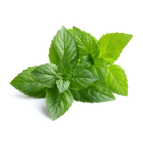 Image result for Peppermint